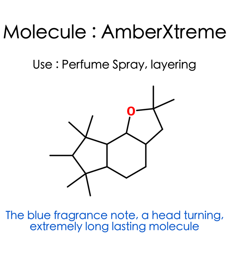 Molecule Amber Xtreme Eau de Perfume Spray - ScentScientists