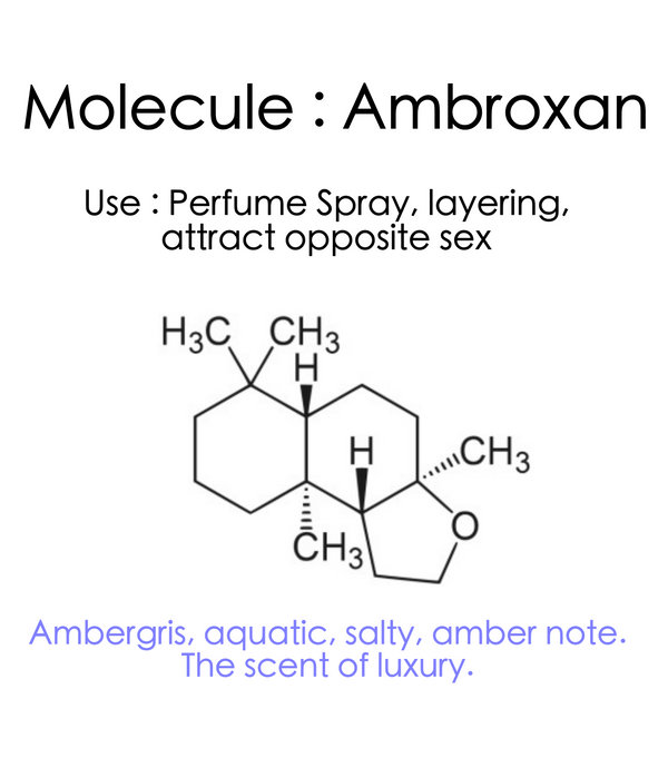 Molecule Ambroxan Eau de Perfume Spray - ScentScientists