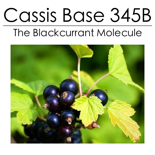 Cassis Base 345B by Firmenich (The Blackcurrant Molecule) 10ml - ScentScientists