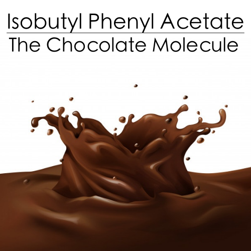 The Chocolate Molecule - Isobutyl Phenyl Acetate 10ml - ScentScientists