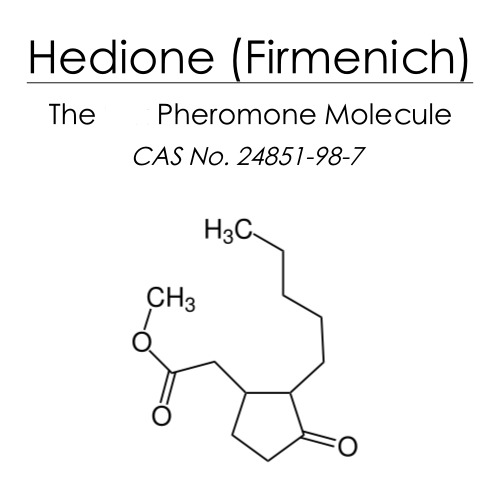Hedione (The Pheromone Molecule) - ScentScientists