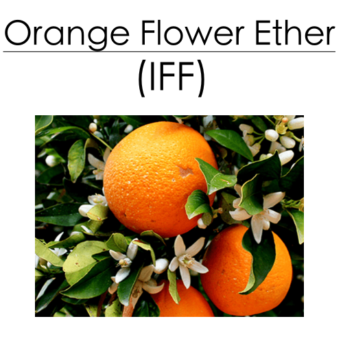 Orange Flower Ether (IFF) 10ml - ScentScientists