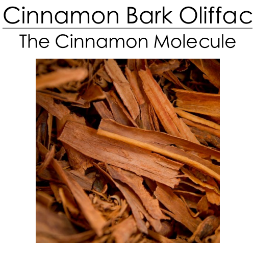 Cinnamon Bark Oliffac (IFF) 10ml - ScentScientists